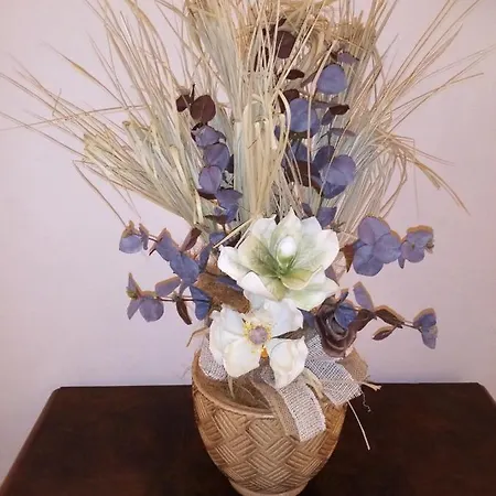 Bed & Breakfast Il Ciliegio , Via Superiore 93 Luzzara 3*