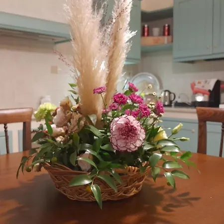 Bed & Breakfast Il Ciliegio , Via Superiore 93 Luzzara Suzzara